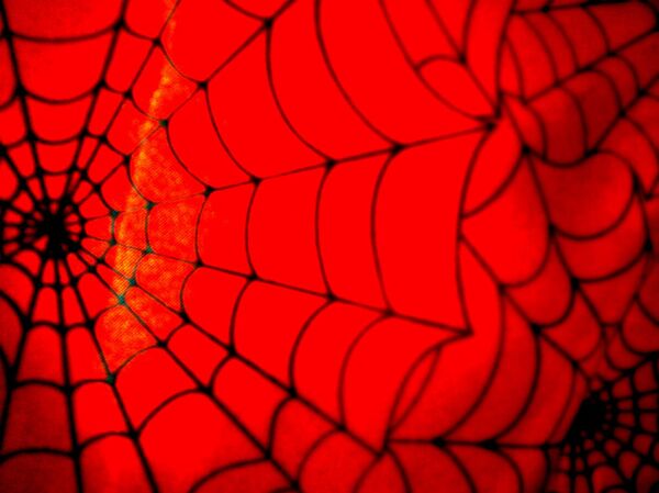 Web Worldwide: Using web – either a real one by the Spider-Man, or the digital one by the IC, is another shared characteristic. Web Worldwide: Using web – either a real one by the Spider-Man, or the digital one by the IC, is another shared characteristic. - Sputnik International