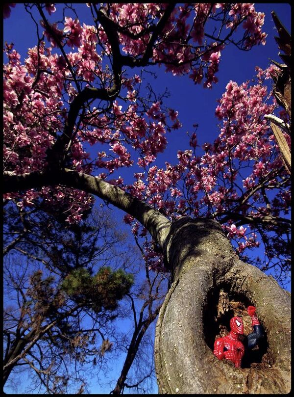 Spidey Sense: The Spidey Sense, or the ability of Spider-Man to predict what’s going to happen next and prevent it, is also expected from the IC by their “customers, Clapper argues. Spidey Sense: The Spidey Sense, or the ability of Spider-Man to predict what’s going to happen next and prevent it, is also expected from the IC by their “customers, Clapper argues. - Sputnik International