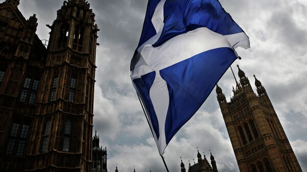 A giant Scottish Saltire flag outside the Houses of Parliament shortly before Scotland First Minister Nicola Sturgeon posed with newly-elected Scottish National Party (SNP) MPs during a photocall in London on May 11, 2015 - Sputnik International