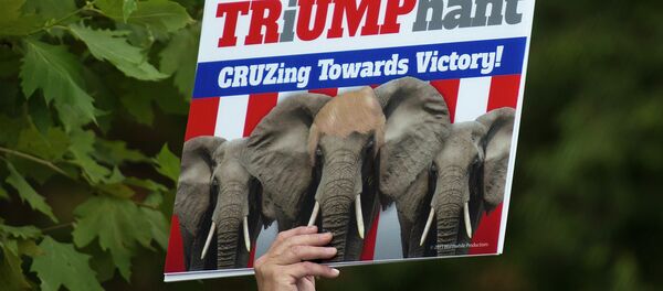 A supporter of US Republican Presidential hopeful Donald Trump A supporter of US Republican Presidential hopeful Donald Trump - Sputnik International