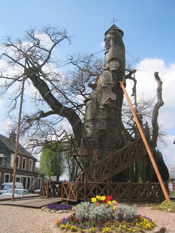 The oldest known tree in France, this oak serves as a base for two small chapels. The oldest known tree in France, this oak serves as a base for two small chapels. - Sputnik International