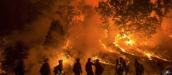Flames from the Valley Fire cover a hillside along Highway 29 in Lower Lake, California September 13, 2015 - Sputnik International