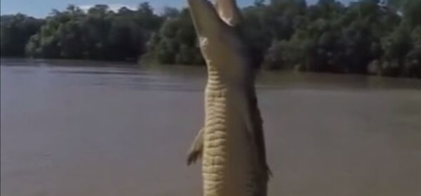 Crocodile Magic Crocodile Magic - Sputnik International