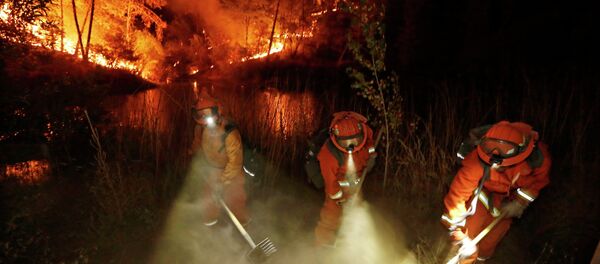 Firefighters create a firebreak near a home in Middletown, Calif - Sputnik International