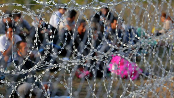 Migrants sit behind the barbed wire fence on the Serbian side of the border with Hungary in Asotthalom, September 15, 2015.  - Sputnik International