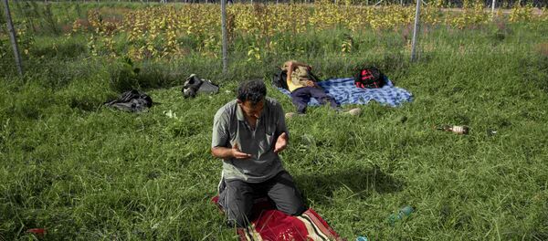 A migrant prays near the border fence with Hungary in Horgos, Serbia, September 15, 2015. A migrant prays near the border fence with Hungary in Horgos, Serbia, September 15, 2015. - Sputnik International