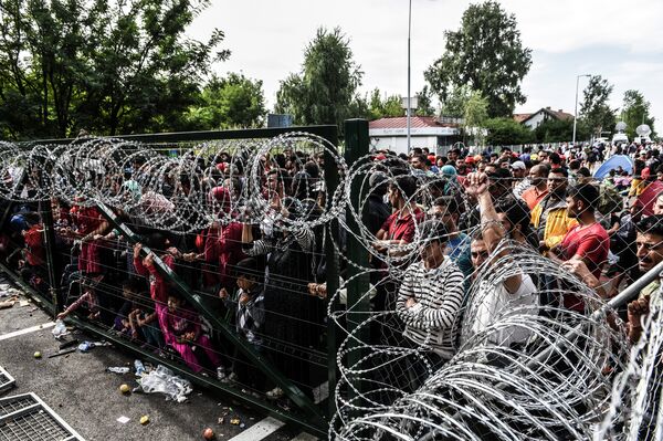 Refugees stand behind a fence at the Hungarian border with Serbia near the town of Horgos on September 16, 2015 Refugees stand behind a fence at the Hungarian border with Serbia near the town of Horgos on September 16, 2015 - Sputnik International