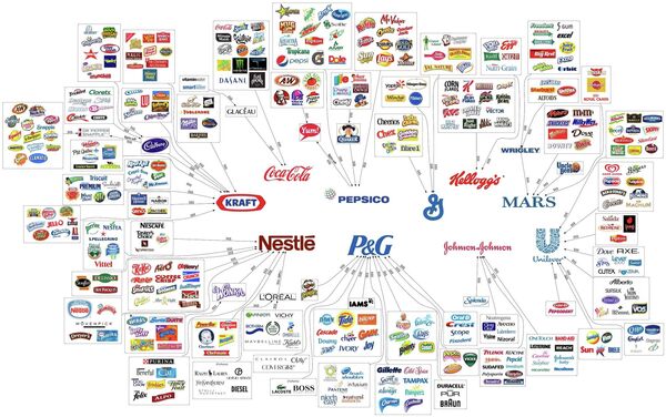 The illusion of choice - Sputnik International