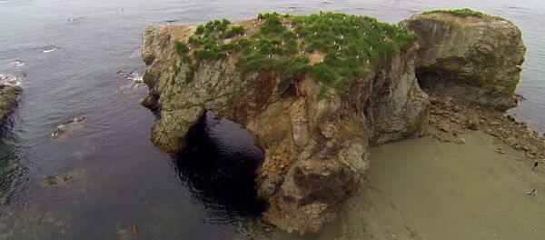 Sakhalin summer Sakhalin summer - Sputnik International