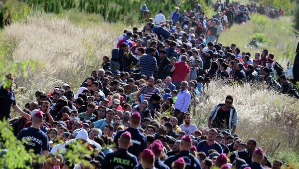 Directed by Hungarian police officers, migrants make their way through the countryside after they crossed the Hungarian-Croatian border near the village of Zakany in Hungary to continue their trip north on September 21, 2015. - Sputnik International