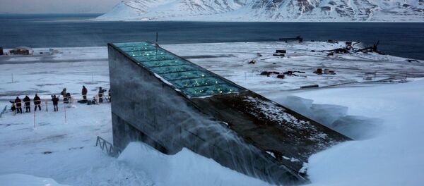 Snow blows off the Svalbard Global Seed Vault before being inaugurated at sunrise - Sputnik International