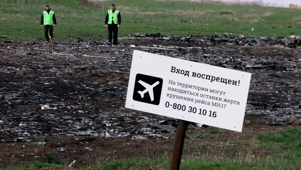 A sign on the crash site of the Malaysia Airlines flight MH17 Boeing en route from Amsterdam to Kuala Lumpur - Sputnik International