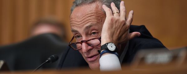 Sen. Charles Schumer Sen. Charles Schumer - Sputnik International