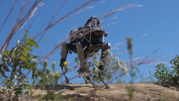 Spot the robot dog during training - Sputnik International