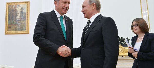 President Vladimir Putin meets with President of Turkey Recep Erdogan President Vladimir Putin meets with President of Turkey Recep Erdogan - Sputnik International