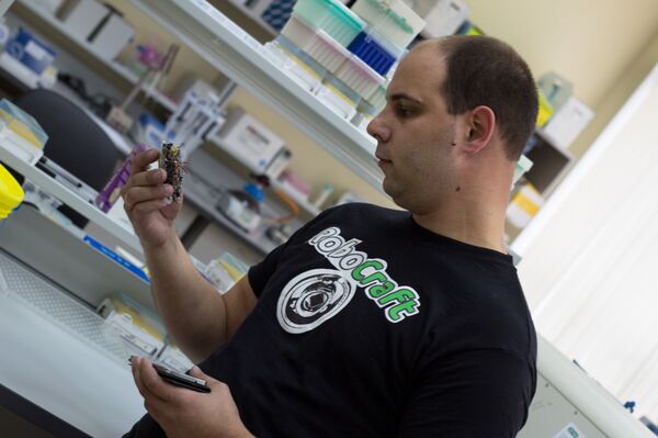 Roach from BFU - Sputnik International