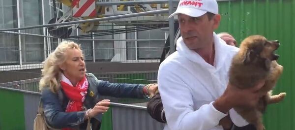 Un SDF qui a perdu son chien à Paris cause de Cause Animale Nord Un SDF qui a perdu son chien à Paris cause de Cause Animale Nord - Sputnik International