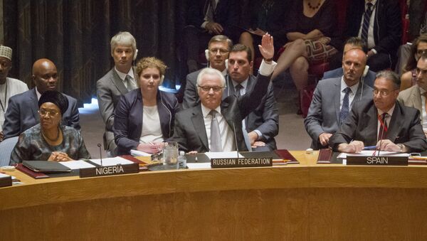 Russian U.N. Ambassador Vitaly Churkin, center, raises his hand to cast a vote to veto - Sputnik International
