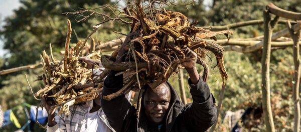 Migrants carry bundle of sticks at a site dubbed the New Jungle, where some 3,000 people have set up camp -- most seeking desperately to get to England, in Calais on September 19, 2015. - Sputnik International