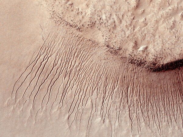 Portions of the Martian surface shot by NASA's Mars Reconnaissance Orbiter show many channels from 1 meter to 10 meters wide on a scarp in the Hellas impact basin, in this photograph taken January 14, 2011 and released by NASA March 9, 2011. Scientists have found the first evidence that briny water may flow on the surface of Mars during the planet's summer months, a paper published on Monday showed - Sputnik International
