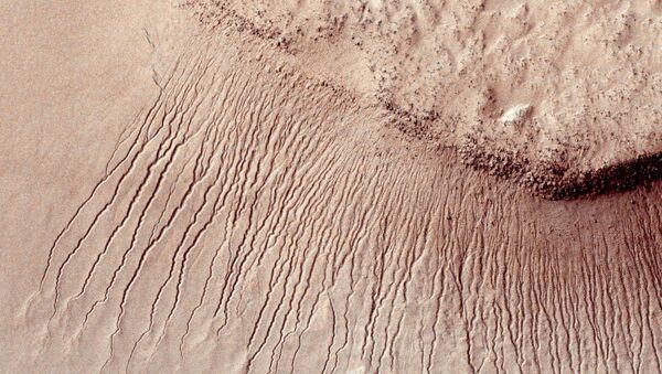 Portions of the Martian surface shot by NASA's Mars Reconnaissance Orbiter show many channels from 1 meter to 10 meters wide on a scarp in the Hellas impact basin. file photo - Sputnik International