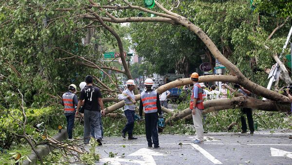 Workers remove trees uprooted by strong winds from Typhoon Dujuan, in Taipei, Taiwan, September 29, 2015 - Sputnik International