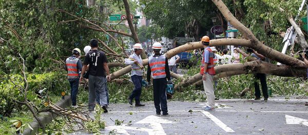 Workers remove trees uprooted by strong winds from Typhoon Dujuan, in Taipei, Taiwan, September 29, 2015 Workers remove trees uprooted by strong winds from Typhoon Dujuan, in Taipei, Taiwan, September 29, 2015 - Sputnik International