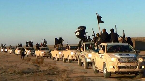 In this undated file photo released by a militant website, which has been verified and is consistent with other AP reporting, militants of the Islamic State group hold up their weapons and wave its flags on their vehicles in a convoy on a road leading to Iraq, while riding in Raqqa city in Syria - Sputnik International
