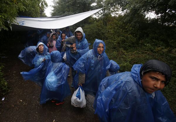 A group of migrants head to cross a border line between Serbia and Croatia, near the village of Berkasovo, about 100 km west from Belgrade, Serbia, Tuesday, Sept. 29, 2015 A group of migrants head to cross a border line between Serbia and Croatia, near the village of Berkasovo, about 100 km west from Belgrade, Serbia, Tuesday, Sept. 29, 2015 - Sputnik International