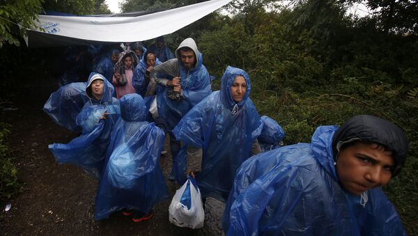 A group of migrants head to cross a border line between Serbia and Croatia, near the village of Berkasovo, about 100 km west from Belgrade, Serbia, Tuesday, Sept. 29, 2015 - Sputnik International