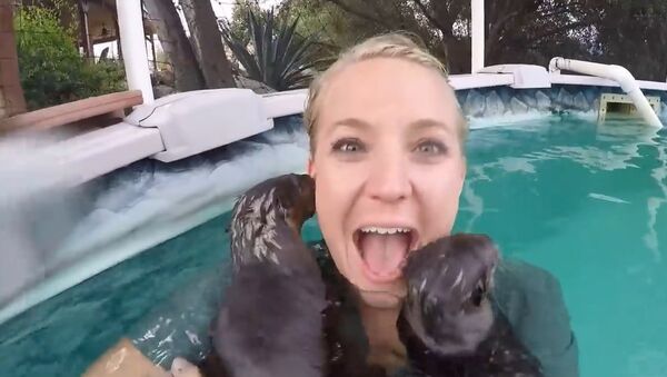 Stephanie Arne otter happiness - Sputnik International