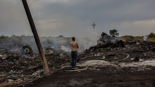 MH17 Malaysian Airlines Boeing crash in Ukraine - Sputnik International