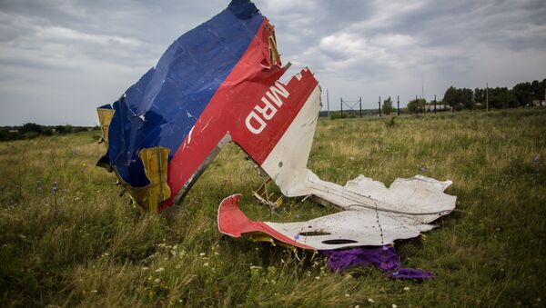 Russia’s results of a separate probe into the MH17 crash would be taken into consideration, the Malaysian minister of transport said. - Sputnik International