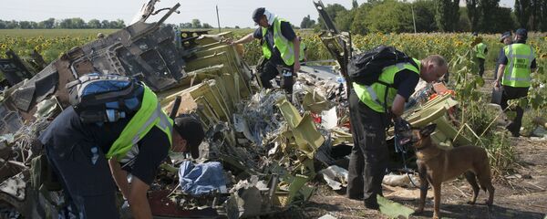 Australian, Malaysian and Dutch investigators examine pieces of the downed Malaysia Airlines Flight 17 plane, near the village of Rossipne, Donetsk region, eastern Ukraine Australian, Malaysian and Dutch investigators examine pieces of the downed Malaysia Airlines Flight 17 plane, near the village of Rossipne, Donetsk region, eastern Ukraine - Sputnik International