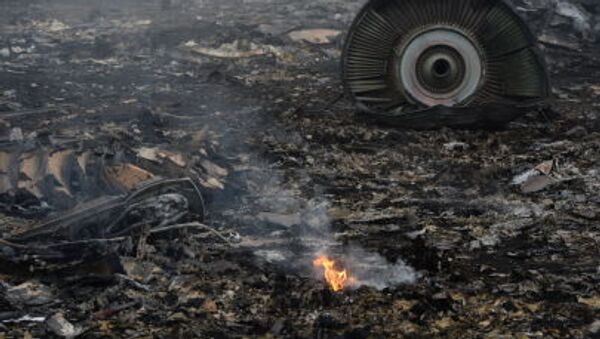 Boeing 777 crash site in Donetsk - Sputnik International