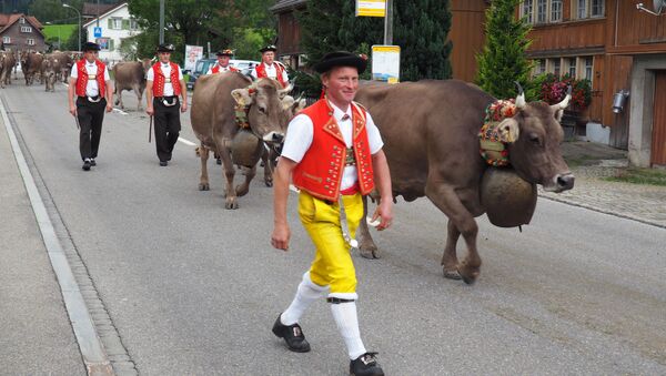This Sept. 19, 2015 photo shows men in local costume taking part in the Swiss Alpabzug, a celebration of the descent of dairy cows and goats from high Alpine pastures, in Urnaesch, Appenzellerland, in Switzerland - Sputnik International