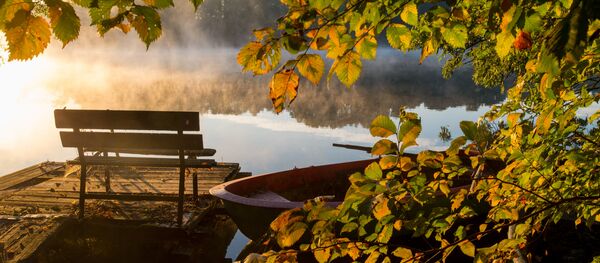 Morning sun shines through the mist over the Hohenjesarscher See lake in Alt Zeschdorf, northeastern Germany - Sputnik International