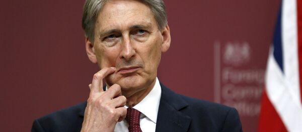 Britain's Foreign Secretary Philip Hammond - Sputnik International