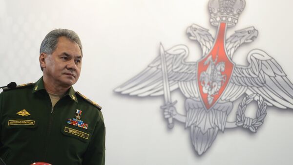 Russian Minister of Defence Sergey Shoygu - Sputnik International