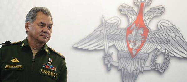 Russian Minister of Defence Sergey Shoygu Russian Minister of Defence Sergey Shoygu - Sputnik International