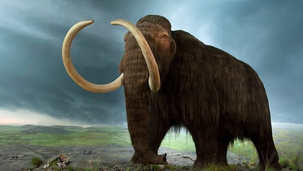 Mammoth model at the Royal BC Museum - Sputnik International