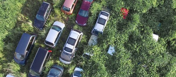 Ghost Towns of Fukushima: Four Years After Nuclear Disaster Ghost Towns of Fukushima: Four Years After Nuclear Disaster - Sputnik International