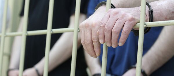 Arrested Bombers Plotted Attack on Moscow Metro, Airports - Sputnik International