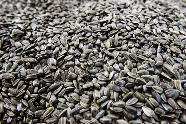 WorldFood Expo in Moscow WorldFood Expo in Moscow - Sputnik International