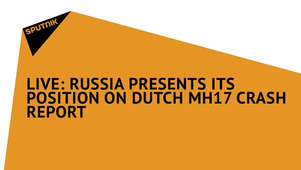 Russia Presents Its Position on Dutch MH17 Crash Report - Sputnik International