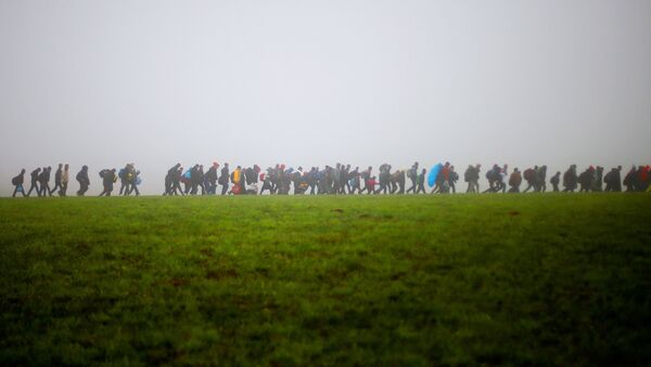 A group of migrants make their way over a meadow after crossing the border between Austria and Germany in Wegscheid near Passau, Germany, Thursday, Oct. 15, 2015. - Sputnik International