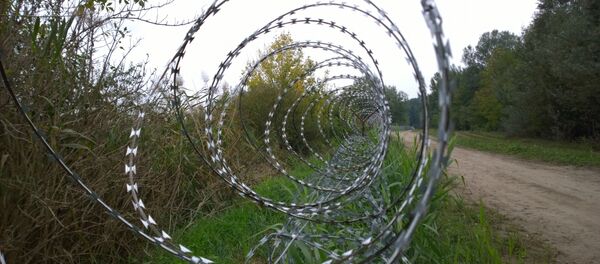 Hungarian-Serbian border near Assothalom, Hungary - Sputnik International