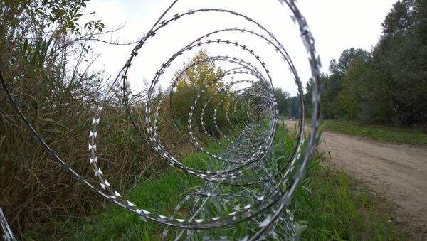 Hungarian-Serbian border near Assothalom, Hungary - Sputnik International
