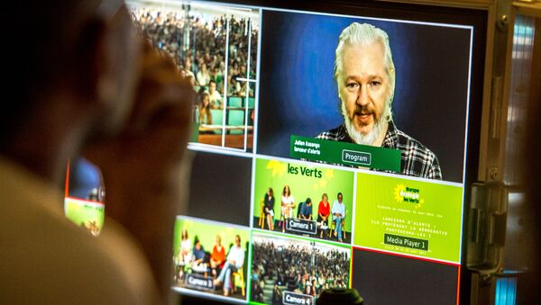 WikiLeaks founder Julian Assange participates by videoconference in the French Green party EELV summer camp, on August 21, 2015 in Villeneuve-d'Asq. - Sputnik International