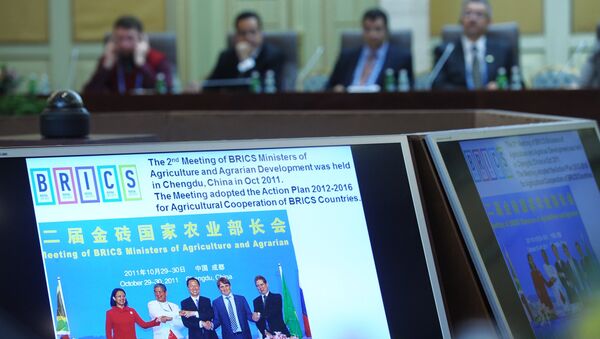 Meeting of the BRICS Agriculture and Agrarian Development Ministers - Sputnik International